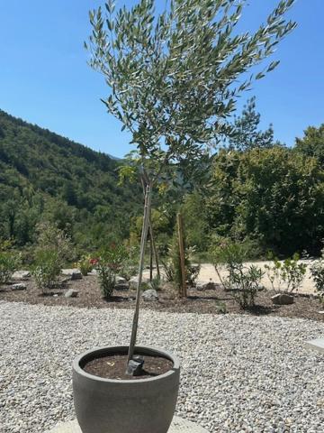 Gites Les Rochers De Plaisians Zewnętrze zdjęcie